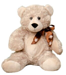 Tan Teddy with Bow