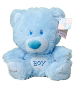 Small Baby Boy Teddy