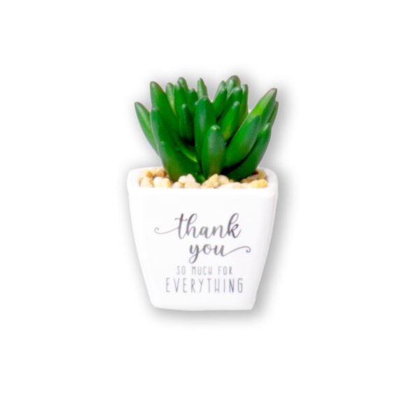 Thank you Succulent Sentiment