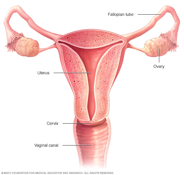Robotic hysterectomy